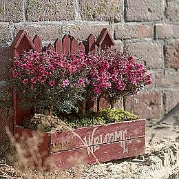 即便新的State of Play在即 但《血源》PC版仍无计划