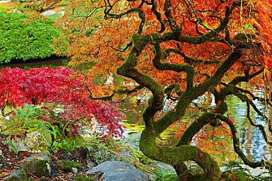 虚幻5引擎现已更新5.1 带来海量改进